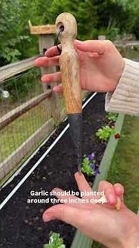 Garlic Planting Day 🌱 | Fall Gardening Routine & Tips for Growing Garlic Successfully