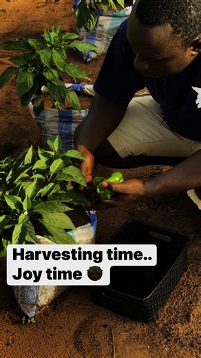 136K views · 1.4K reactions | I want to share a simple but powerful...