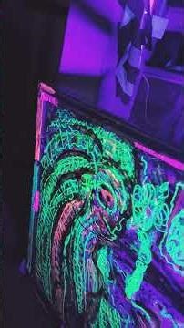 lotus killer music "electric Queen" jfire art video