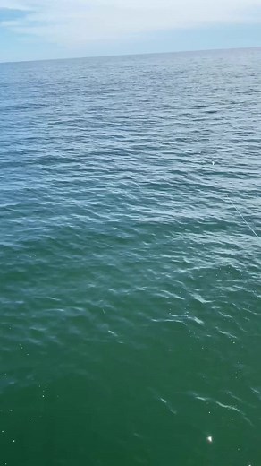 955K views · 6.8K reactions | People sink their flies past a bluefish blitz to catch striped bass. When trying to weed out a jack, you just need to react quickly. How are you targeting a specific species of fish when they’re all mixed together? : Captain Bailey Short #FlyFishing #Fishing #Jacks #Redfish #Topwater #Eat #SundayFunday #SaltwaterFishing #Decisions #ThinkQuick #ReactionBite #FishingGuide #Captain | Simms Fishing Products | Facebook