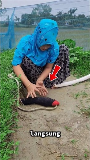 The animal comes out of the hole#shorts #shortvideo