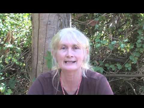 What Do Monkeys Eat?