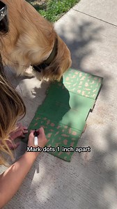 1.3K views · 13 reactions | Every small act counts when it comes to making a positive impact on our planet. One way is by upcycling materials like an old box and t-shirts into something new like a snuffle mat for your furry friend!  It's a fun and easy way to reduce waste and give your dog a fun activity to do. #SmallActsBigImpact #EarthMonth | Open Farm | Facebook