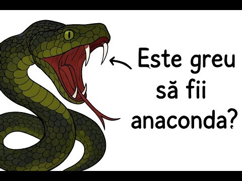 De ce este greu sa fii sarpe anaconda? Partea 1