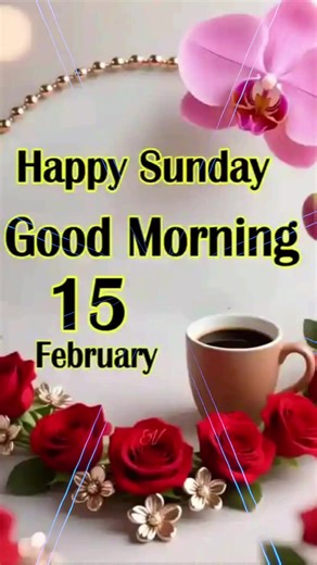 Have a Blessed Sunday: A Reflection