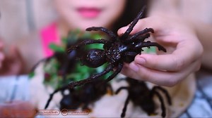🌸 LINH-ASMR 🌸 on Instagram: "Eating spider - please come to Linh-asmr channel to watch full video . Thanks so much for watching"