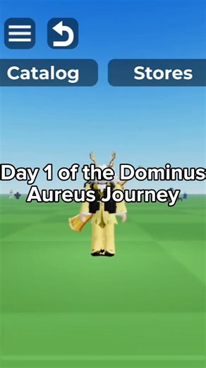 The Dominus Journey