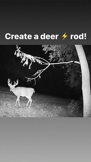 Create the deer Lightning Rod ⚡️🦌 #hodaglickingbranchsystem #deerseason #bigbucks #whitetailhunting #whitetaildeer #chasinwhitetails #bowhunting #huntinggear #deergear #whitetailbuck #bowhuntingdeer #deerhunter #thelickingstick #hodag #inventorypatternhunt | HODAG Outdoors