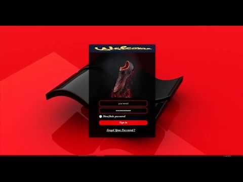 VB.NET UI Design - Flat Login - Visual Studio 2019 Windows Application