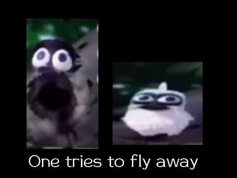 2 birds on a wire meme