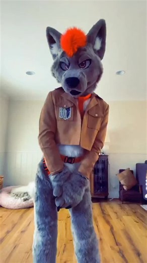 MY BODY AND MY MIND~ ✨ • • • • • #furryfandom #furry #furries #fursuiter #fursuit #fursuiters #fursuiting #wolf #fox #attackontitan #femboy | DUST