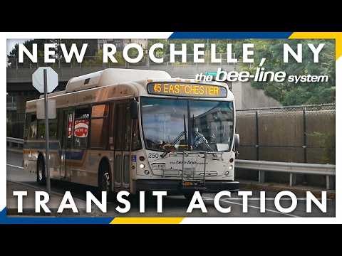 [Transit Action] Westchester Bee-Line Buses at New Rochelle Bus Terminal