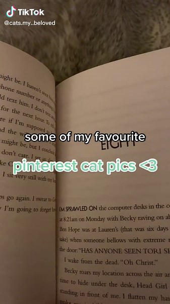 Adorable Cat Photos on Pinterest