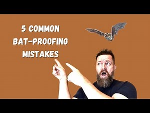 5 Mistakes That Let The Bats Back In.