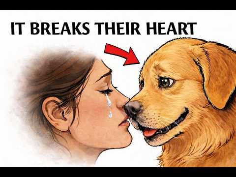 Your Dog Understands Your Tears More Than You Think (Here’s Why)