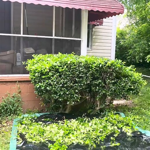 2.1M views · 63K reactions | Code Violations Almost Happened to This Disabled Veteran Homeowner - Watch Till the End When We Solve It For Free! | Life with Al Bladez | Facebook