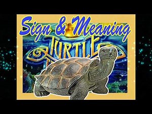 The meaning of Turtle sign in T Hunting