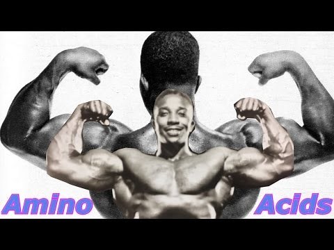 How To Correctly Use Amino Acids - Bodybuilding Tips To Get Big