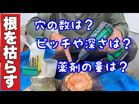 [Drying the roots] A complete guide to how to do it [Gardener Ken Channel]