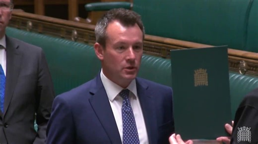 Stuart Anderson Oath of Allegiance Parliament