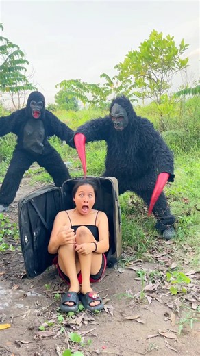 2 Ferocious Gorilla Monsters Attack 2 Beautiful Brave Girl Scaredly Hiding In Suitcase For Help