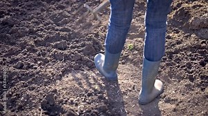 Work in a garden - Digging Spring Soil With Spading fork. Close up of digging spring soil with shovel preparing it for new sowing season.