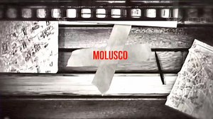 4.4K views · 317 reactions | ANDREW ÁLVAREZ FIRMA CON #MOLUSCOTV. El antropólogo y analista Andrew Álvarez también tendrá su espacio fijo dentro de la plataforma de #MoluscoTV con su podcast #TopSecret , donde hablará de temas que nos afectan a TODOS , sin importar el país donde vivas. Bienvenido a la familia Andrew . Pendientes para mas detalles... #ElMolu  | Molusco TV | Facebook