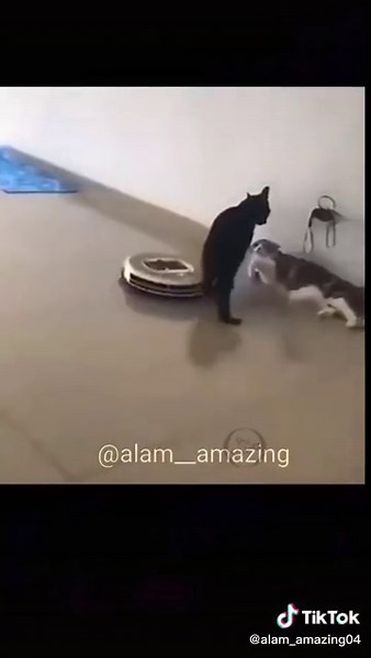 Ajgar_Amazing on TikTok