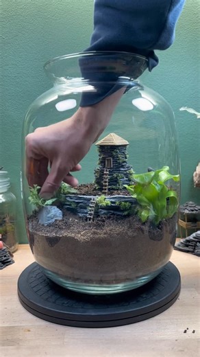 Babylon Terrariums | Planting up a bioactive terrarium… All that’s missing now is the springtails! This is a bioactive terrarium. It mimics a natural ecosystem... | Instagram