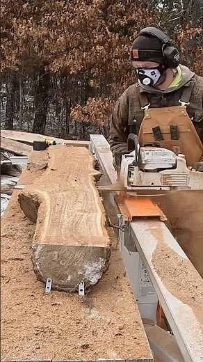 Siberian Elm’s Rich Brown Color and Gorgeous Grains are Mesmerizing! Stihl MS 661 and Logosol F2+