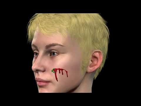 HOW IMMUNE SYSTEM WORKS 3D ANIMATION