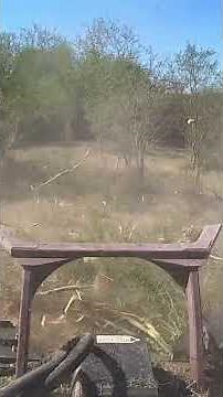 Virnig Tree Disc Mulcher after 80 Hours of Use | User-Submitted Video