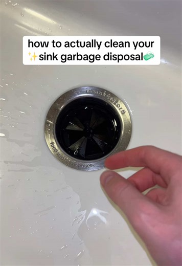 Properly Clean Your Sink's Garbage Disposal with These Tips