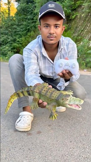 Rc Remote Control Crocodile🐊🔥