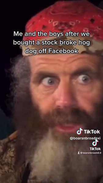 Classic from the 6th account #hunting #hoghunting #hogdogs #workingdogs #workingdogsoftiktok #huntingdogs #boarsnbroads