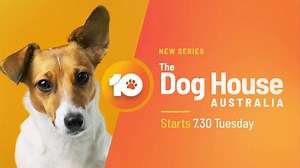39K views · 228 reactions | The Dog House Australia is the feel good new series that will have you falling head-over paws in love. Starts 7.30 Tuesday on 10 and 10 Play on demand. | Channel 10 | Facebook
