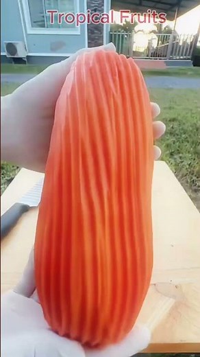 Why Papaya Is the Super Fruit Everyone Should Eat! #tropicalfruits #viralvideo #short
