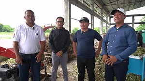 MVP Dairy Farm Eyes Sorghum Silage To Boost Milk Production! The country's biggest dairy farm, the United Harvester Dairy Farm (UHDF), a company which was recently acquired by the Metro Pacific Group of Companies, is eyeing the Sorghum Silage Production Program of our small company, the Southseas Agri-Aqua Ventures Inc. (SAAVI), as a sustainable source of feeds for their 800 dairy cows in Bukidnon. Yesterday, a team from Metro Pacific UHDF which will soon be known as Carmen's Best Dairy, visited