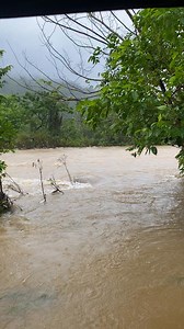 Mary Ann Bola Vergara on Reels