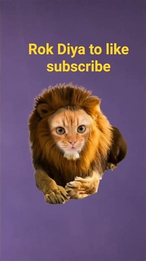 rok Diya to like subscribe
