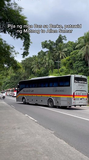 Hindi ganon kahaba ang pila ng mga Bus, dahil hindi Peak Season 👌❤️ #SilverStar #Philtranco #DLTB #MegaBus #Samar #Matnog | Manglalakbay Channel