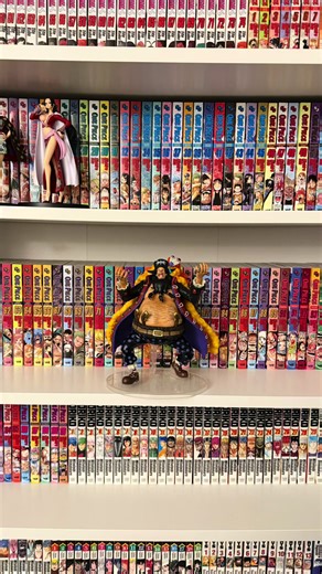 suruga-ya figure haul #onepiece #ichibankuji #shanks #marshalldteach #monkeyddragon