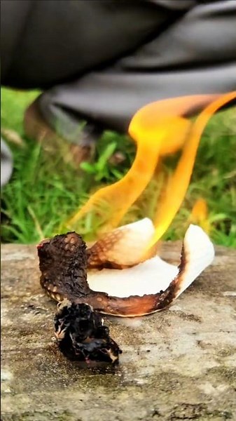 The Boy Who Knows More Than You 😳🔥#camping #survival #bushcraft #outdoors #fire