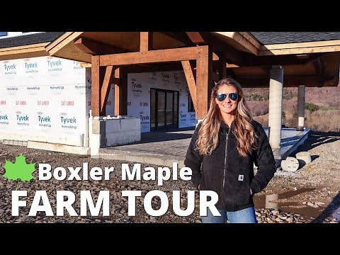 Boxler Maple Farm Tour!