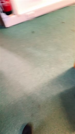 Work packs always do best🙌🙌🙌 #foryou #fifa #ea #fifa21 #pack #fy #champions #blue #walkout #88 #amazing #packmanpete #walkout