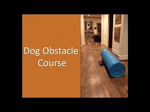 Best Friends At Home | Dog Obstacle Course