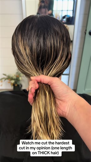 One length on very thick hair! #hairtok #thickhaircut