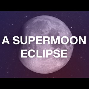 What's Up - September 2024