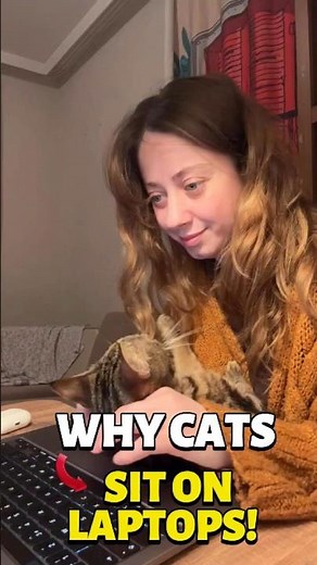 Why Cats Sit on Your Stuff 😼 #cat #pets