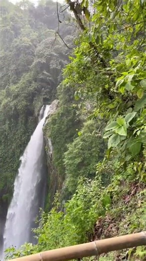 Majestic Waterfall | Powerful Roaring Nature Sounds for Relaxation 🌊🍃